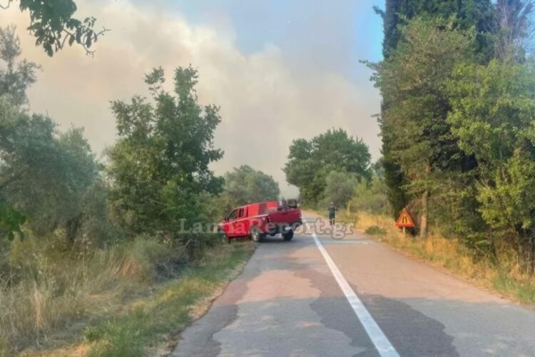 Μεγάλη φωτιά στη Στυλίδα