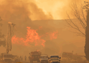Φωτιά στη Σμύρνη