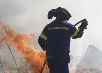 Φωτιά στην Αιτωλοακαρνανία στο Πλατυγυάλι Αστακού
