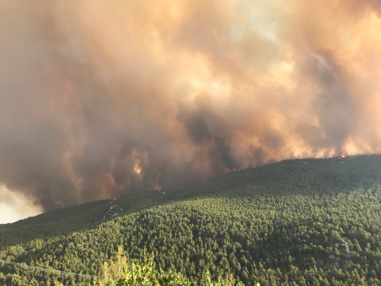 Συναγερμός για πυρκαγιές την Κυριακή: Ποιες περιοχές είναι στο κόκκινο