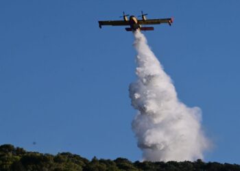 Φωτιά στο Ασπροχώρι Ωρωπού