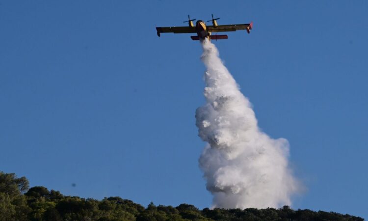 Φωτιά στο Ασπροχώρι Ωρωπού