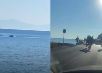 Σάμος: Παράνομοι μετανάστες διέκοψαν την κυκλοφορία σε κεντρικό δρόμο