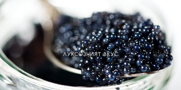 Βουλγαρικό Χαβιάρι