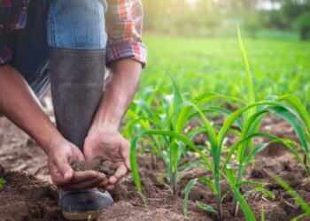 Προϋπολογισμός ΕΕ & νέα ΚΑΠ: Πλήγμα για τις τσέπες αγροτών και καταναλωτών – Έρχονται νέες αυξήσεις