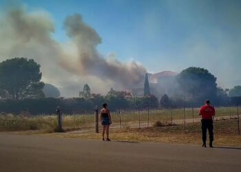Εύβοια: Χωρίς ενεργό μέτωπο η φωτιά στο Αλιβέρι