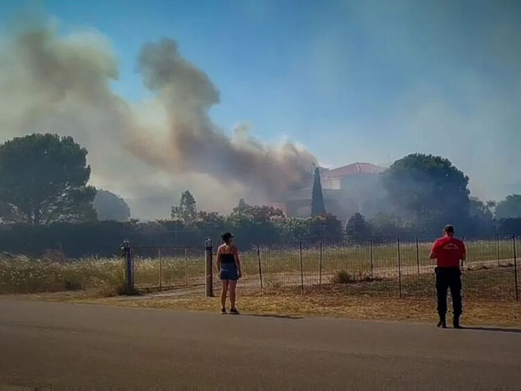 Εύβοια: Χωρίς ενεργό μέτωπο η φωτιά στο Αλιβέρι