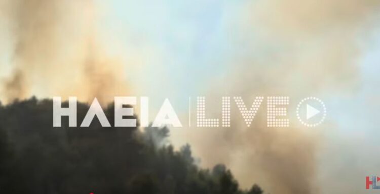 Ανεξέλεγκτη η φωτιά στην Αμαλιάδα – Επιχειρούν 14 αεροπλάνα και ελικόπτερα (βίντεο)