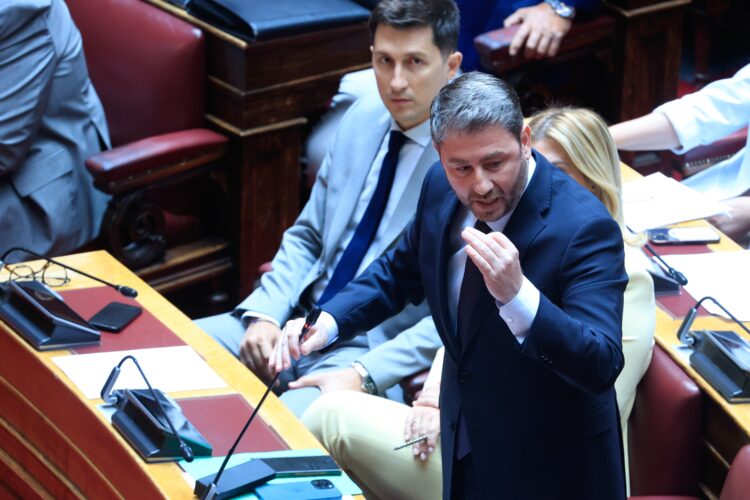 Βουλή: Στα άκρα η κόντρα Ανδρουλάκη – Γεωργιάδη