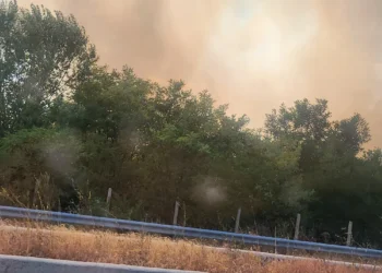 Θεσσαλονίκη: Μεγάλη φωτιά στην Άσσηρο – Φωτογραφίες και βίντεο