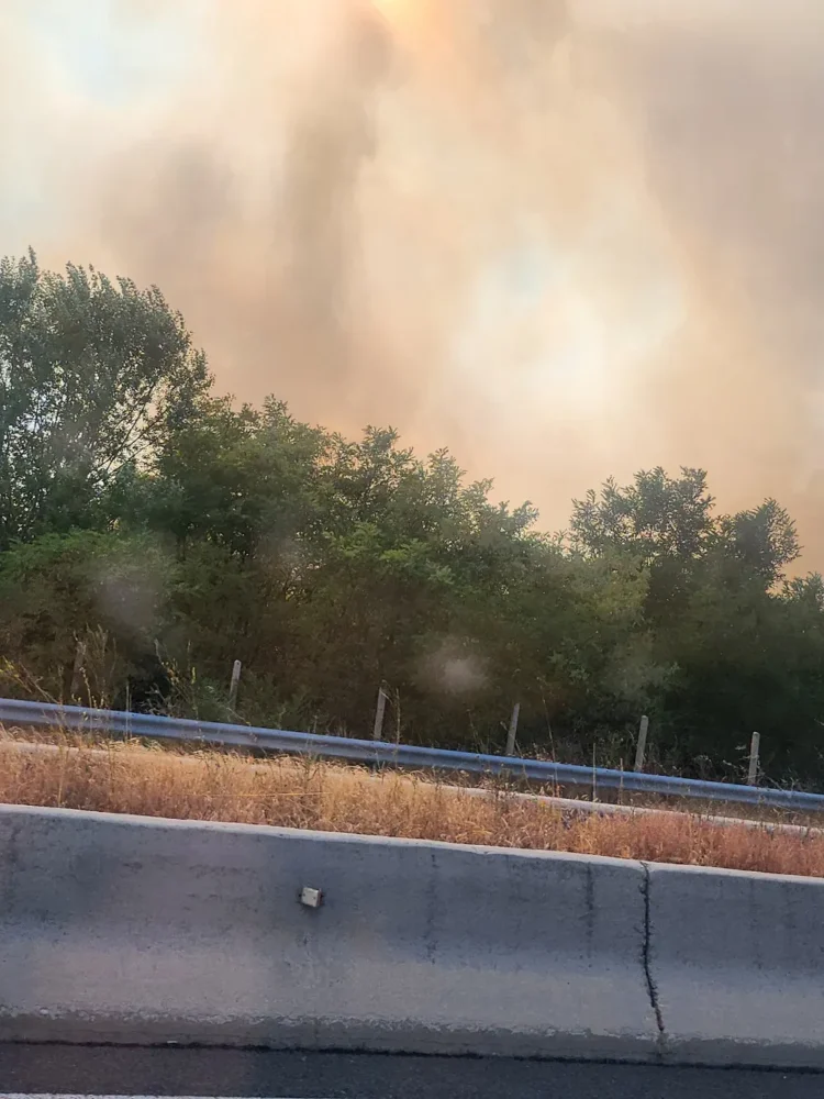 Θεσσαλονίκη: Μεγάλη φωτιά στην Άσσηρο – Φωτογραφίες και βίντεο