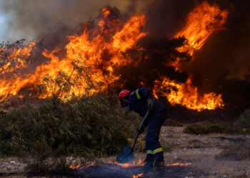 Πυρκαγιά στην Πεδινή Ιωαννίνων