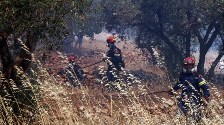 Φωτιά στο Κιλκίς