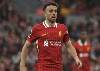 Ντιόγκο Ζότα