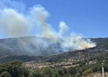 Νέα φωτιά στην Μυτιλήνη