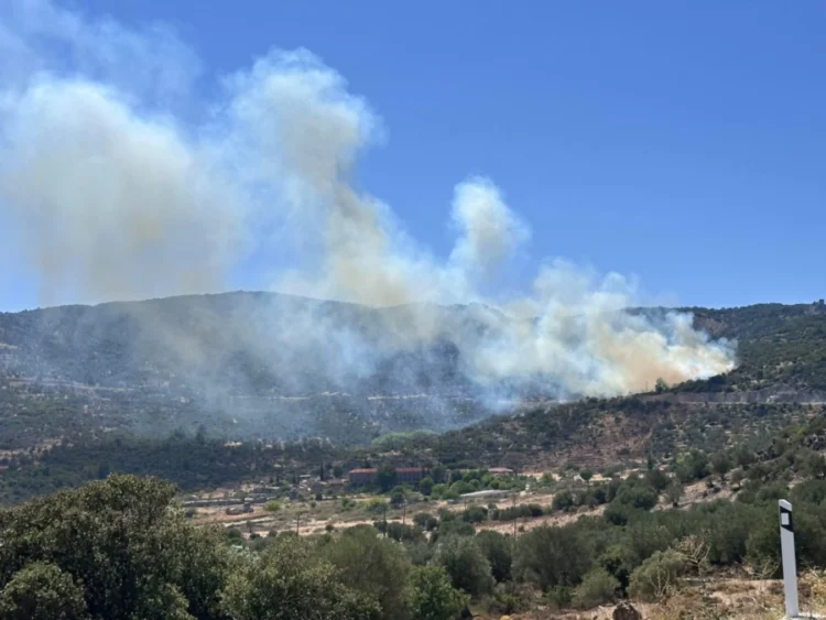 Νέα φωτιά στην Μυτιλήνη
