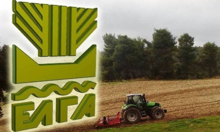 ΕΛΓΑ: Πληρωμή 13,5 εκατ. ευρώ για πυρκαγιές 2021