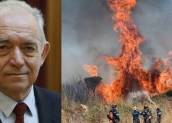 Λέκκας για Κύθηρα: «Τεράστιο πλήγμα η νέα φωτιά – Το νησί οδηγείται σε ταχεία ερημοποίηση»