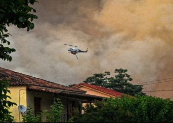 Φενεός: Χιλιάδες στρέμματα ελατόδασους κάηκαν στην ορεινή Κορινθία