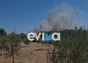 Εύβοια: Μεγάλη φωτιά στο Αλιβέρι – Εκκενώθηκαν οικισμοί