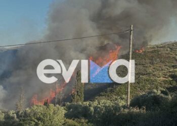 φωτιά στην Εύβοια