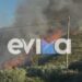 φωτιά στην Εύβοια