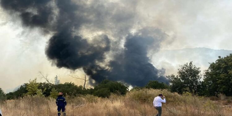 Φωτιά στη Θεσπρωτία – Μήνυμα του 112