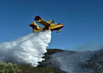 Φωτιά στη Λάρυμνα Φθιώτιδας