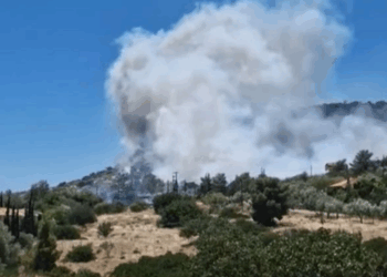 Συναγερμός για μεγάλη φωτιά στο Κορωπί: Κοντά στα σπίτια οι φλόγες (video)