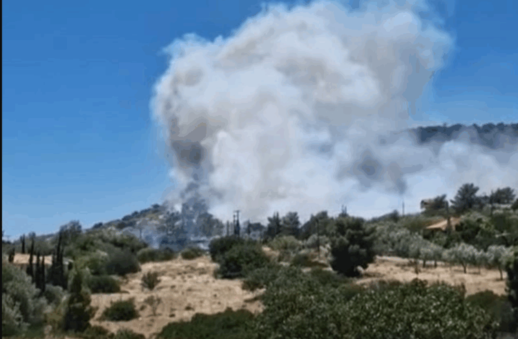 Συναγερμός για μεγάλη φωτιά στο Κορωπί: Κοντά στα σπίτια οι φλόγες (video)