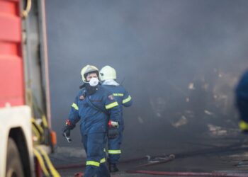 Φωτιά στην Παραλία Επανομής, στη Λάρισα και στο Αμύνταιο (BINTEO)
