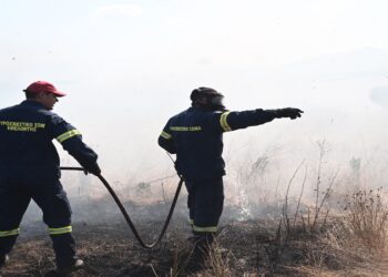 Φωτιές: Υποχώρησαν τα πύρινα μέτωπα – Μάχη με διάσπαρτες εστίες σε Ευρυτανία και Καστοριά