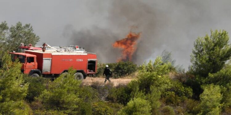 Φωτιά στη Φλώρινα – Οριοθετήθηκε η φωτιά στο Βαρικό