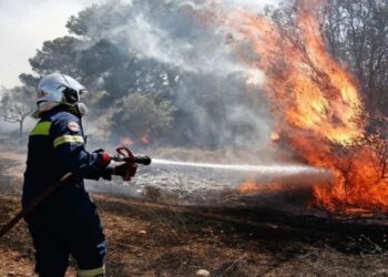 Φωτιά σε δασική έκταση στα Τρίκαλα
