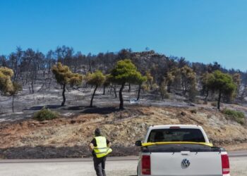 Φωτιά στη Μεσσηνία: Στο νοσοκομείο πυροσβέστης