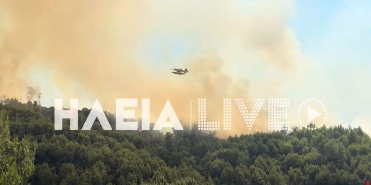 Ολονύκτια μάχη στην Αμαλιάδα – Σε ύφεση τα πύρινα μέτωπα της φωτιάς