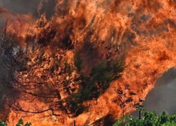 Δεσκάτη Γρεβενών: Εκκενώθηκε κατασκήνωση με 55 παιδιά λόγω της φωτιάς