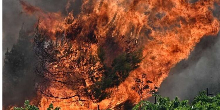 Δεσκάτη Γρεβενών: Εκκενώθηκε κατασκήνωση με 55 παιδιά λόγω της φωτιάς