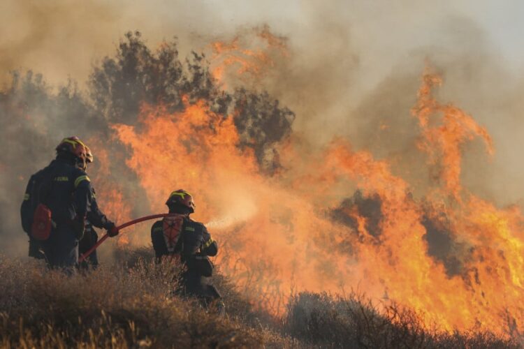 Ιεράπετρα: Καταστροφή χωρίς τέλος, καμένα σπίτια, ζώα και 12.000 στρέμματα γης