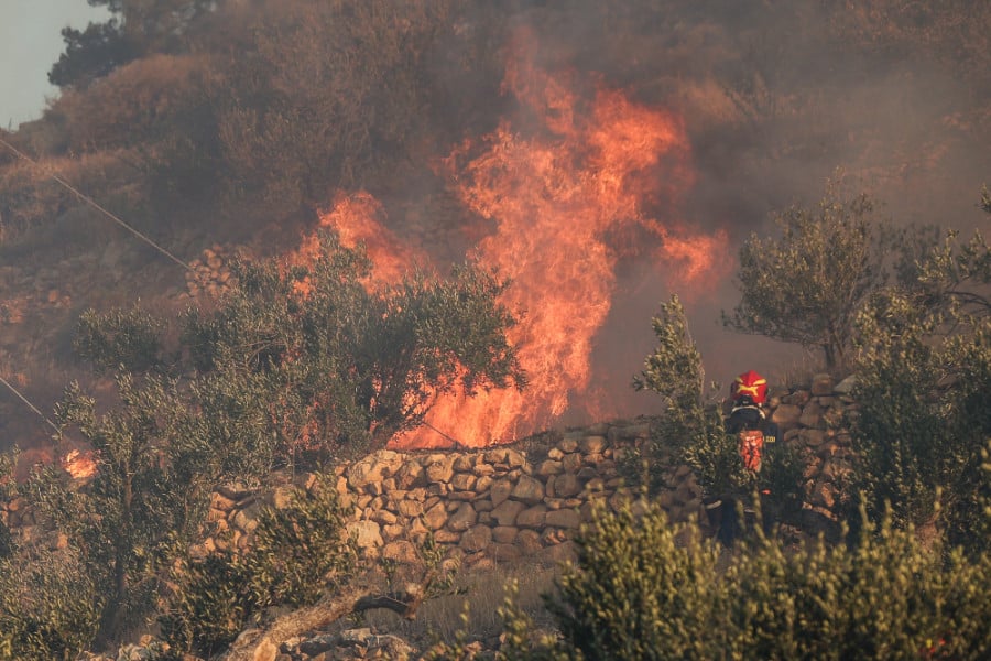 Ιεράπετρα: Καταστροφή χωρίς τέλος, καμένα σπίτια, ζώα και 12.000 στρέμματα γης