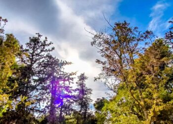 Καιρός: Ηλιόλουστος και πτώση της θερμοκρασίας