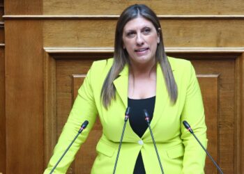 Κωνσταντοπούλου για ΟΠΕΚΕΠΕ