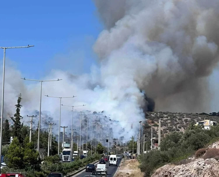 Βάρης – Κορωπίου: Κυκλοφοριακές ρυθμίσεις λόγω της φωτιάς