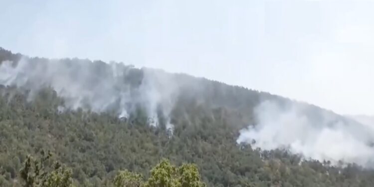 Φωτιά στην Κοζάνη – Αναζωπυρώθηκε λόγω των ανέμων