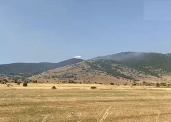 Φωτιά στην Κοζάνη – Συνεχείς αναζωπυρώσεις λόγω των ισχυρών ανέμων