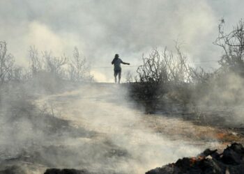 Πύρινη λαίλαπα στην Κύπρο: Δύο νεκροί βρέθηκαν απανθρακωμένοι μέσα σε αυτοκίνητο – Βίντεο από το σημείο της τραγωδίας