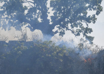 Χωρίς ενεργό μέτωπο η φωτιά στη Σταμάτα