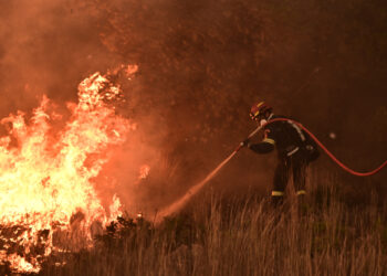 Φωτιά στον Ωρωπό