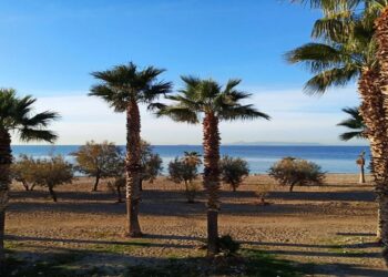 Θρίλερ στο Παλαιό Φάληρο: Άγνωστα παραμένουν τα στοιχεία του 2χρονου κοριτσιού που ανασύρθηκε νεκρό