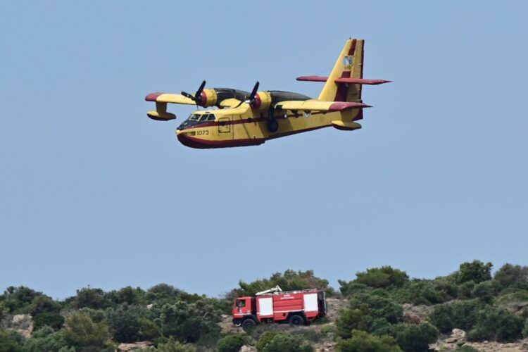 Φωτιά στο Χειμάδι Λάρισας